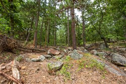 property photo for Eagles Nest Ranch Tract 52, 6.8 acres for sale in Pushmataha County, Oklahoma