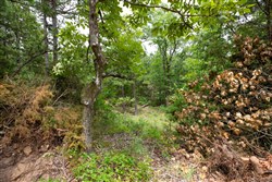 property photo for Eagles Nest Ranch Tract 52, 6.8 acres for sale in Pushmataha County, Oklahoma