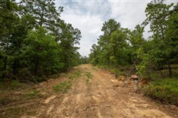property photo for Eagles Nest Ranch Tract 53, 5.99 acres for sale in Pushmataha County, Oklahoma