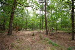 property photo for Eagles Nest Ranch Tract 53, 5.99 acres for sale in Pushmataha County, Oklahoma