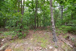 property photo for Eagles Nest Ranch Tract 53, 5.99 acres for sale in Pushmataha County, Oklahoma