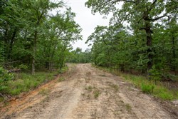 property photo for Eagles Nest Ranch Tract 53, 5.99 acres for sale in Pushmataha County, Oklahoma
