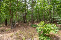 property photo for Eagles Nest Ranch Tract 53, 5.99 acres for sale in Pushmataha County, Oklahoma
