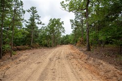 property photo for Eagles Nest Ranch Tract 54, 8.86 acres for sale in Pushmataha County, Oklahoma