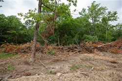 property photo for Eagles Nest Ranch Tract 54, 8.86 acres for sale in Pushmataha County, Oklahoma