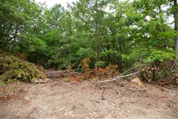 property photo for Eagles Nest Ranch Tract 54, 8.86 acres for sale in Pushmataha County, Oklahoma
