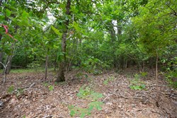 property photo for Eagles Nest Ranch Tract 54, 8.86 acres for sale in Pushmataha County, Oklahoma