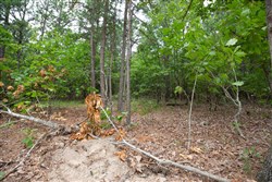 property photo for Eagles Nest Ranch Tract 54, 8.86 acres for sale in Pushmataha County, Oklahoma