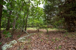property photo for Eagles Nest Ranch Tract 55, 8.86 acres for sale in Pushmataha County, Oklahoma