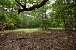 property photo for Eagles Nest Ranch Tract 55, 8.86 acres for sale in Pushmataha County, Oklahoma