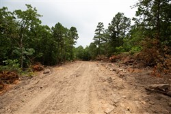 property photo for Eagles Nest Ranch Tract 55, 8.86 acres for sale in Pushmataha County, Oklahoma
