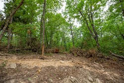 property photo for Eagles Nest Ranch Tract 56, 10.92 acres for sale in Pushmataha County, Oklahoma