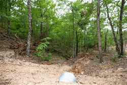 property photo for Eagles Nest Ranch Tract 56, 10.92 acres for sale in Pushmataha County, Oklahoma