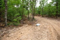 property photo for Eagles Nest Ranch Tract 56, 10.92 acres for sale in Pushmataha County, Oklahoma