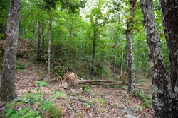 property photo for Eagles Nest Ranch Tract 56, 10.92 acres for sale in Pushmataha County, Oklahoma