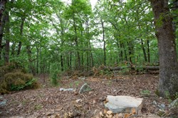 property photo for Eagles Nest Ranch Tract 57, 13.03 acres for sale in Pushmataha County, Oklahoma