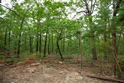 property photo for Eagles Nest Ranch Tract 57, 13.03 acres for sale in Pushmataha County, Oklahoma