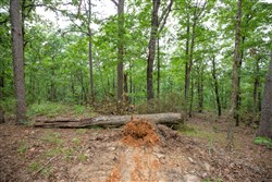 property photo for Eagles Nest Ranch Tract 57, 13.03 acres for sale in Pushmataha County, Oklahoma