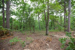 property photo for Eagles Nest Ranch Tract 57, 13.03 acres for sale in Pushmataha County, Oklahoma