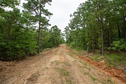 property photo for Eagles Nest Ranch Tract 58, 10.64 acres for sale in Pushmataha County, Oklahoma