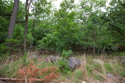 property photo for Eagles Nest Ranch Tract 58, 10.64 acres for sale in Pushmataha County, Oklahoma