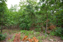 property photo for Eagles Nest Ranch Tract 58, 10.64 acres for sale in Pushmataha County, Oklahoma