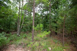 property photo for Eagles Nest Ranch Tract 58, 10.64 acres for sale in Pushmataha County, Oklahoma