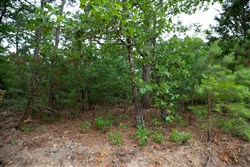 property photo for Eagles Nest Ranch Tract 58, 10.64 acres for sale in Pushmataha County, Oklahoma
