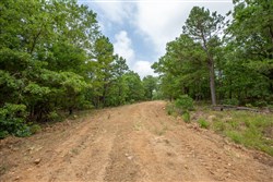 property photo for Eagles Nest Ranch Tract 59, 9.33 acres for sale in Pushmataha County, Oklahoma