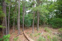 property photo for Eagles Nest Ranch Tract 59, 9.33 acres for sale in Pushmataha County, Oklahoma