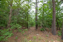 property photo for Eagles Nest Ranch Tract 59, 9.33 acres for sale in Pushmataha County, Oklahoma