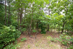 property photo for Eagles Nest Ranch Tract 59, 9.33 acres for sale in Pushmataha County, Oklahoma