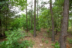 property photo for Eagles Nest Ranch Tract 59, 9.33 acres for sale in Pushmataha County, Oklahoma