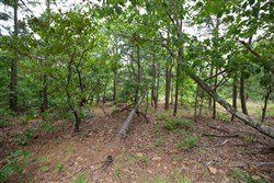 property photo for Eagles Nest Ranch Tract 59, 9.33 acres for sale in Pushmataha County, Oklahoma