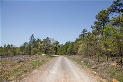 property photo for Eagles Nest Ranch Tract 6, 5.33 acres for sale in Pushmataha County, Oklahoma