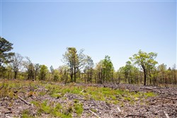 property photo for Eagles Nest Ranch Tract 6, 5.33 acres for sale in Pushmataha County, Oklahoma