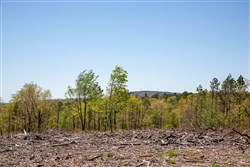 property photo for Eagles Nest Ranch Tract 6, 5.33 acres for sale in Pushmataha County, Oklahoma