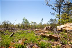 property photo for Eagles Nest Ranch Tract 6, 5.33 acres for sale in Pushmataha County, Oklahoma