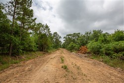 property photo for Eagles Nest Ranch Tract 60, 11.07 acres for sale in Pushmataha County, Oklahoma