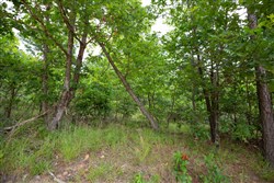 property photo for Eagles Nest Ranch Tract 60, 11.07 acres for sale in Pushmataha County, Oklahoma