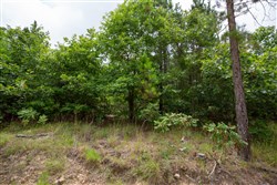property photo for Eagles Nest Ranch Tract 60, 11.07 acres for sale in Pushmataha County, Oklahoma