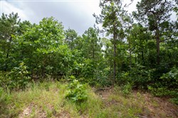 property photo for Eagles Nest Ranch Tract 60, 11.07 acres for sale in Pushmataha County, Oklahoma