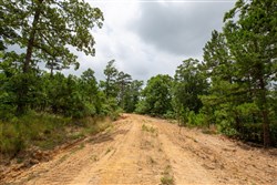 property photo for Eagles Nest Ranch Tract 60, 11.07 acres for sale in Pushmataha County, Oklahoma