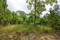 property photo for Eagles Nest Ranch Tract 60, 11.07 acres for sale in Pushmataha County, Oklahoma