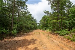 property photo for Eagles Nest Ranch Tract 61, 13.09 acres for sale in Pushmataha County, Oklahoma
