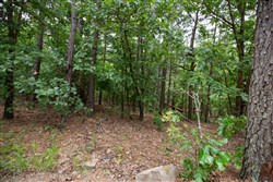 property photo for Eagles Nest Ranch Tract 61, 13.09 acres for sale in Pushmataha County, Oklahoma