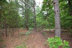 property photo for Eagles Nest Ranch Tract 61, 13.09 acres for sale in Pushmataha County, Oklahoma