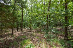 property photo for Eagles Nest Ranch Tract 62, 11.17 acres for sale in Pushmataha County, Oklahoma