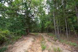 property photo for Eagles Nest Ranch Tract 62, 11.17 acres for sale in Pushmataha County, Oklahoma
