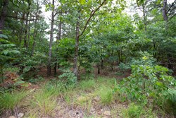 property photo for Eagles Nest Ranch Tract 63, 5.05 acres for sale in Pushmataha County, Oklahoma